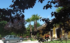 B&B Oasi